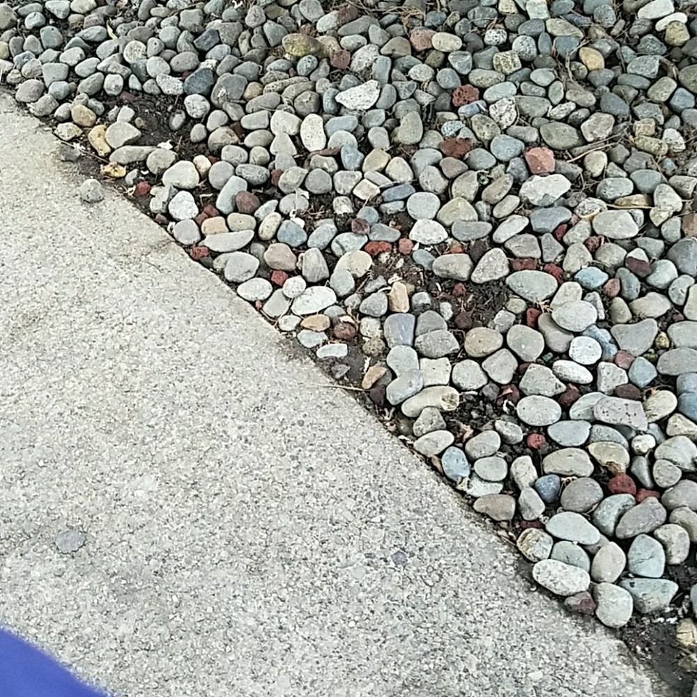 Rocks